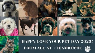 🐶 🐱 🐭 🐹 🐰 Happy Love Your Pet Day! 🐶 🐱 🐭 🐹 🐰 